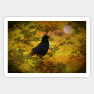 Black Raven Staring At The Moon Digital Art Sticker